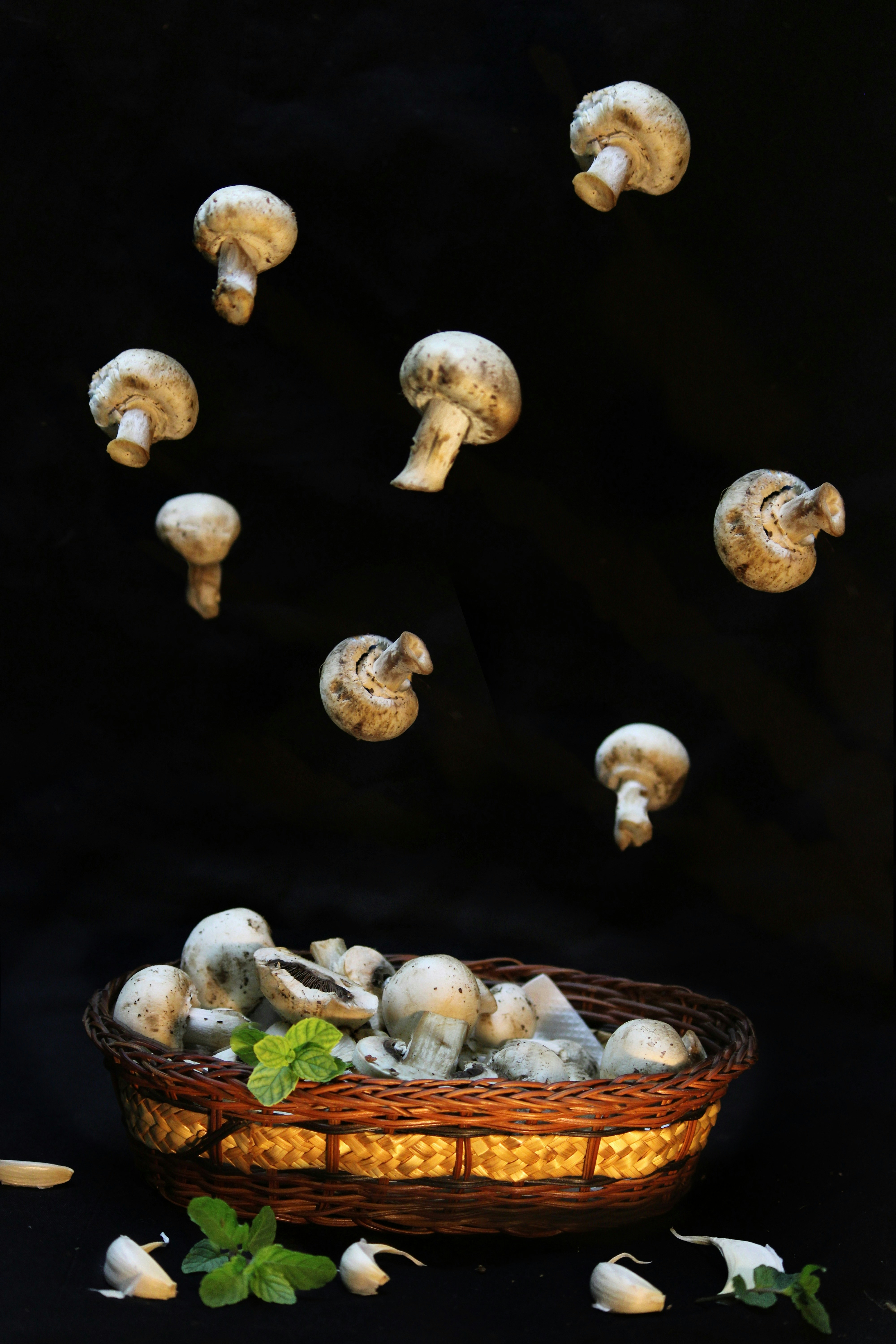 Lion's Mane: The Brain-Boosting Mushroom