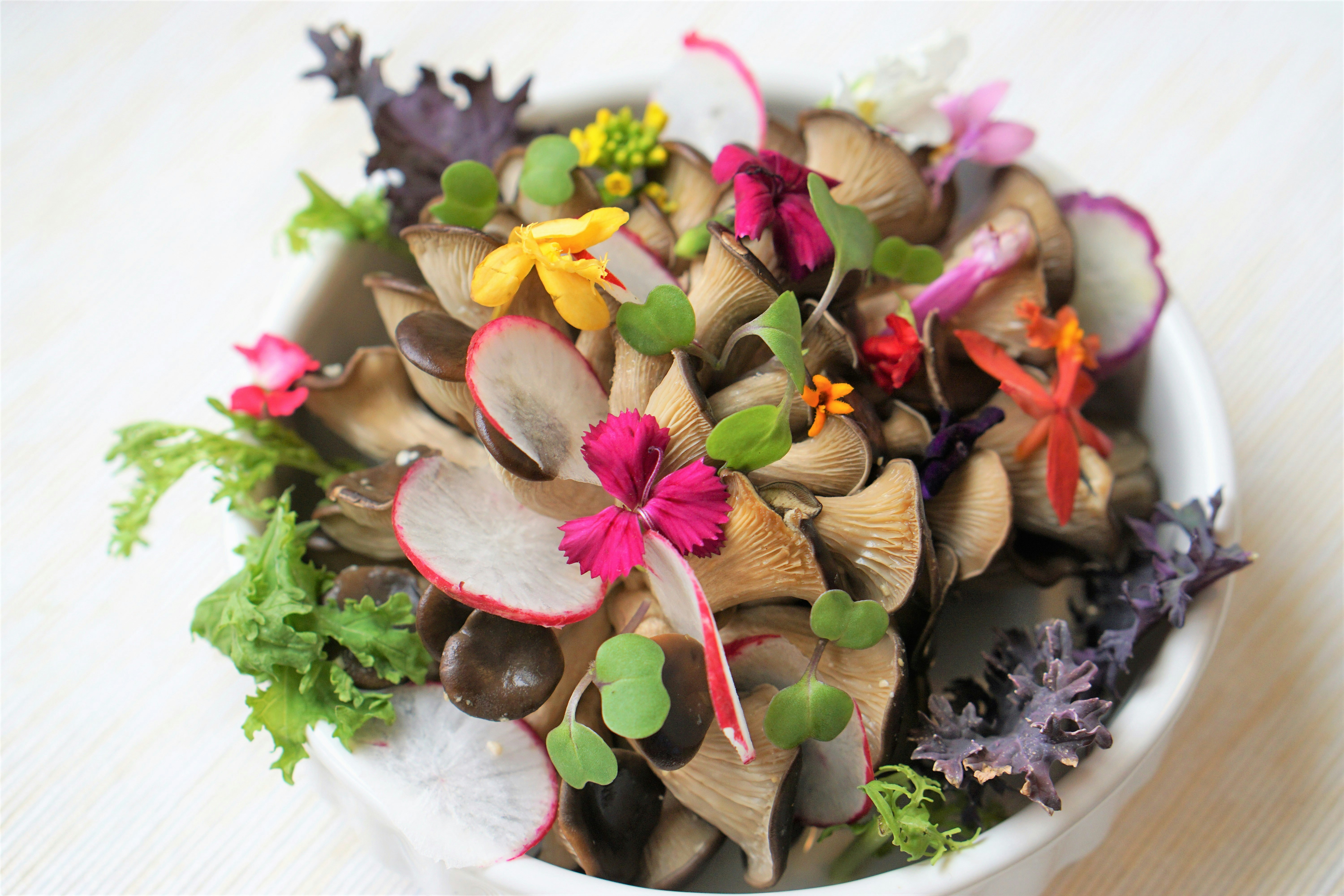 The Benefits of Reishi Mushrooms